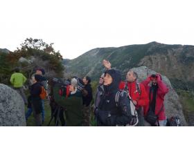 photo coins arrondis